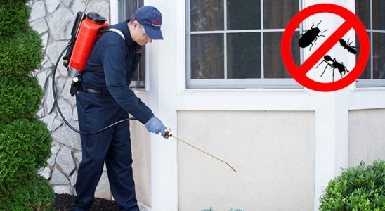 Çifteler Karınca İlaçlama böcek ilaçlama ve haşere kontrolü — ilaclama-tr.com
